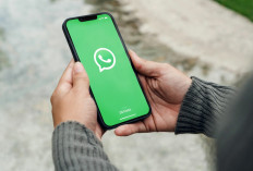 WhatsApp Uji Coba Fitur Baru di Status