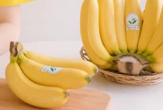 5 Manfaat Pisang Barangan untuk Kesehatan yang Perlu Anda Ketahui