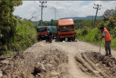 Perbaikan Jalan Batukuning OKU Segera Direalisasikan Tahun ini