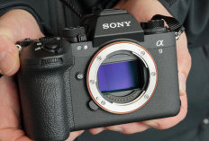 Sony a9 III Mampu Memotret Hingga 120 Frame Perdetik, Cek Spesifikasi dan Harganya 