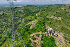 PLN Kembali Puncaki Sektor Utilitas Asia Tenggara Versi Fortune Southeast Asia 500