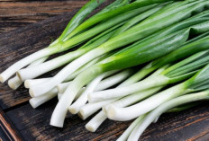 Rahasia Sehat dengan Daun Bawang untuk Tubuh
