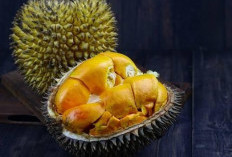 waspadai Dampak Negatif Mengonsumsi Durian Berlebihan 