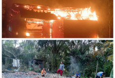 Kebakaran Landa Rumah Warga Terusan