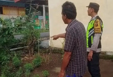 Ajak Masyarakat Manfaatkan Pekarangan Rumah dengan Menanam Sayuran