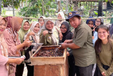 Budidaya Lebah Trigona, Solusi Pemberdayaan Ekonomi dan Pelestarian Alam di Kampung KB Sungai Jawi