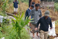 Petani Keluhkan Irigasi Baru, Sawah Justru Kekurangan Air