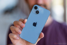 Ngidam iPhone? Sekarang Waktunya! Harga iPhone 13 dan 14 Lagi Turun Nih