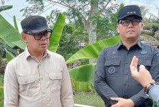 Pelantikan Kepala Daerah Digelar Pertenggahan Maret