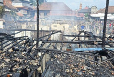Ditinggal ke Kebun, 4 Rumah Warga Desa Gajah Mati Hangus Terbakar