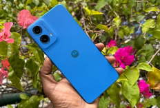 6 HP 2 Jutaan RAM 8GB Terbaik 2025 Kamera Jernih, Video Stabil, Cocok Buat Vlogging!