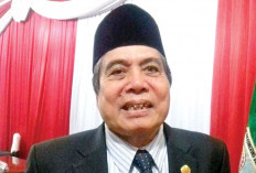 Undang Investor Bangun Pabrik Ban Berbasis Bahan Lokal