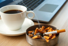 Bahaya Merokok Setelah Makan, Ganggu Pencernaan hingga Picu Kanker