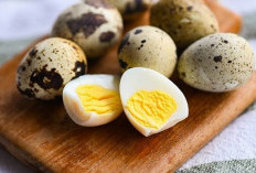 Telur Puyuh, Si Mini yang Kaya Nutrisi dan Segudang Manfaat Kesehatan