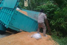 Truk Jagung Terperosok, Akses Lumpuh Total