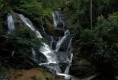 Curup Lemutu, Pesona Air Terjun Alami yang Tersembunyi di Pagar Alam