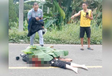 Kecelakaan Maut di Sumsel, 4 Orang Tewas Termasuk Pelajar
