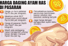 Daging Ayam Dihargai Murah