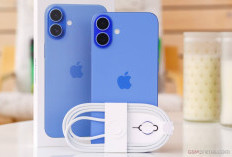 iPhone 16 Plus Resmi Hadir di Indonesia dengan Layar 6.7 Inci dan Chip Apple A18