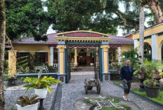 Rujak Ambon