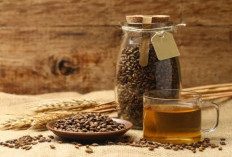 Tanaman Herbal yang Berpotensi Mendukung Pemulihan Kanker Lambung