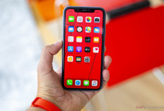 iPhone 11 Masih Menarik di 2025, Ini Alasannya!
