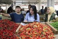 Harga Pangan Tangerang Raya Hari Ini: Cabai Mulai Stabil, Beras dan Minyak Goreng Tetap Terkendali