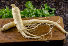 9 Manfaat Hebat Ginseng untuk Tubuh