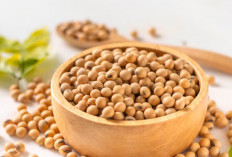 Rahasia Kacang Kedelai untuk Ibu Hamil