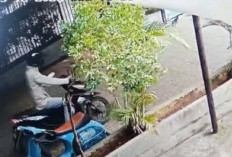 Aksi Curanmor di OKU Terekam CCTV, Motor Lenyap Di Teras Spa Air Karang