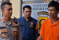 Sempat Buron Penjarah Akhirnya DIbekuk