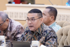 Wamen Ossy Dorong Penguatan Peran Kepala Daerah dalam GTRA