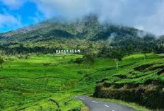Pesona Wisata Pagar Alam: Deretan Destinasi Terpopuler di Kaki Gunung Dempo