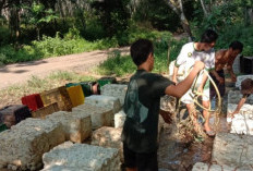 Harga Getah Karet Naik, Petani OKU Kembali Bergairah