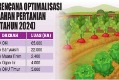 98.400 Ha Sawah di 5 Kabupaten Bakal di Optimalisasi