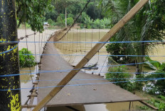 Jembatan Gantung Terbalik, 7 Anak Terjun Bebas dan Terseret Arus