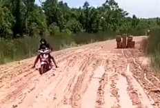 Warga Harap Perbaikan Segera Jadi Prioritas