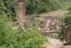 Jembatan Penghubung Antar Desa Roboh