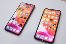 Harga iPhone Turun di Akhir Januari 2026 Seri Lama Makin Murah, iPhone 17 Masih Stabil