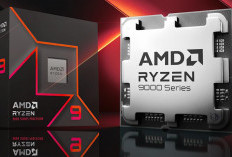 AMD Umumkan Ryzen 9 9950X3D dan 9900X3D: Rilis 12 Maret 2025, Harga Mulai Rp9,4 Juta