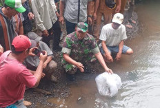 Jaga Ekosistem Lingkungan, Tebar 30.000 Benih Ikan Baung 