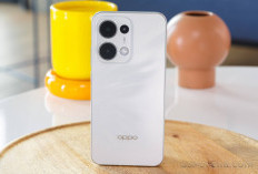 Harga HP OPPO Terbaru Juni 2025 Mulai Rp 1,4 Jutaan hingga Rp 28 Juta, Lengkap untuk Semua Segmen