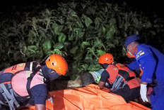 Korban Hanyut Ditemukan Tersangkut Eceng Gondok