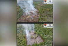 9,5 Ha Lahan Terbakar