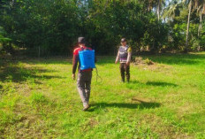 Aktif Pantau Proses Perencanaan Penanaman Jagung Warga Demi Ketahanan Pangan