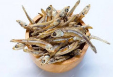 Manfaat Luar Biasa Ikan Teri untuk Kesehatan Tubuh