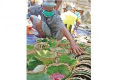 Larang Kantong Plastik untuk Daging Hewan Kurban 