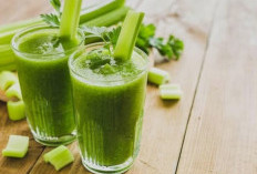 Jus Sayur Hijau Segar, Kombinasi Nutrisi Alami untuk Menunjang Kesehatan