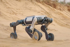 LYNX M20, Robot Canggih Taklukkan Medan Ekstrem