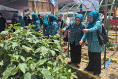 Kader PKK Diminta Berinovasi dan Jadi Agen Perubahan di Tengah Masyarakat